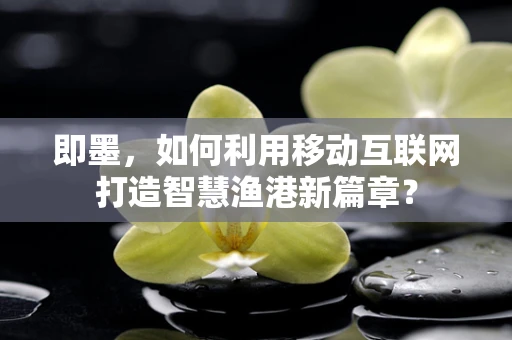 即墨，如何利用移动互联网打造智慧渔港新篇章？