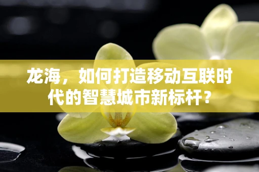 龙海，如何打造移动互联时代的智慧城市新标杆？