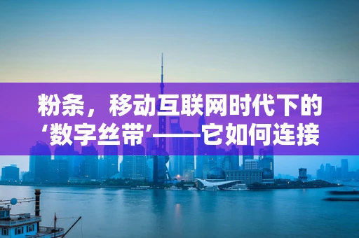 粉条，移动互联网时代下的‘数字丝带’——它如何连接消费者与美食？