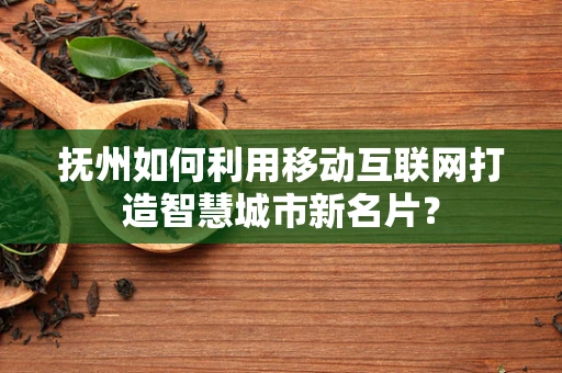 抚州如何利用移动互联网打造智慧城市新名片？
