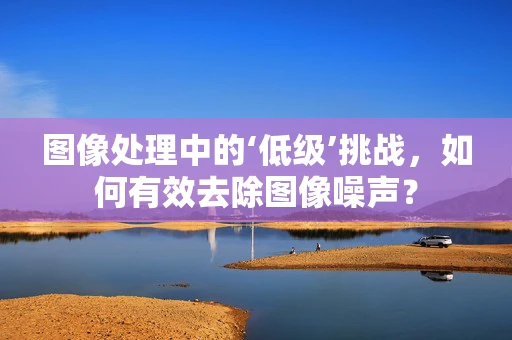 图像处理中的‘低级’挑战，如何有效去除图像噪声？