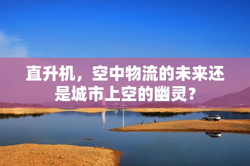 直升机，空中物流的未来还是城市上空的幽灵？