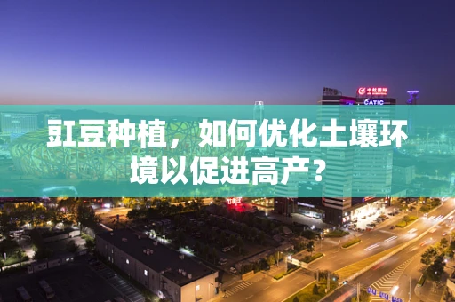 豇豆种植，如何优化土壤环境以促进高产？