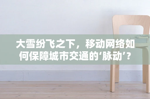 大雪纷飞之下，移动网络如何保障城市交通的‘脉动’？