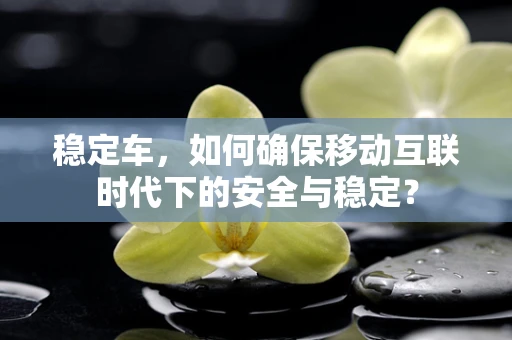 稳定车，如何确保移动互联时代下的安全与稳定？