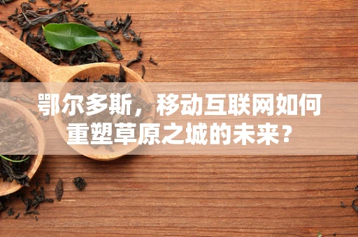 鄂尔多斯，移动互联网如何重塑草原之城的未来？