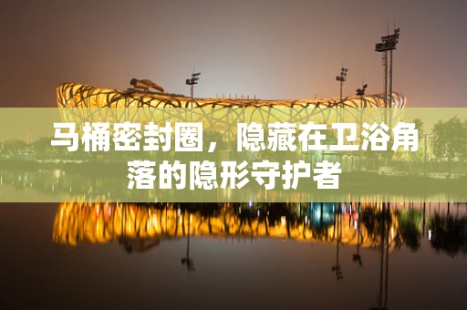 马桶密封圈，隐藏在卫浴角落的隐形守护者