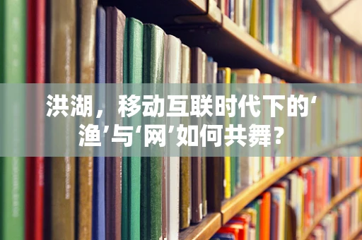 洪湖，移动互联时代下的‘渔’与‘网’如何共舞？
