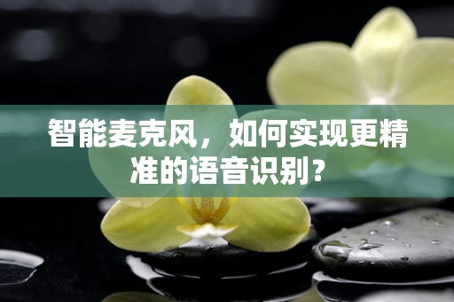 智能麦克风，如何实现更精准的语音识别？
