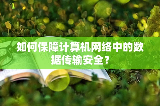如何保障计算机网络中的数据传输安全？