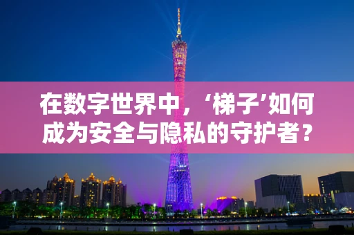 在数字世界中，‘梯子’如何成为安全与隐私的守护者？