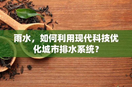 雨水，如何利用现代科技优化城市排水系统？