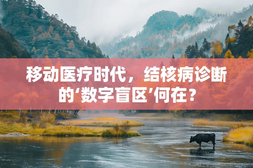 移动医疗时代，结核病诊断的‘数字盲区’何在？