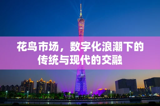花鸟市场，数字化浪潮下的传统与现代的交融