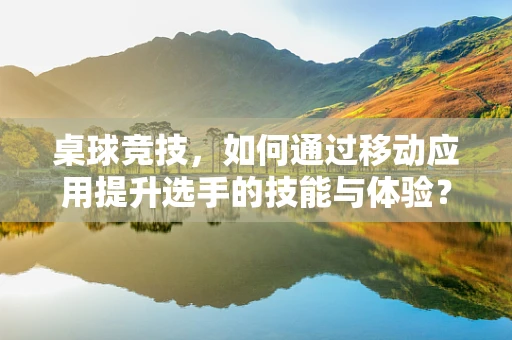 桌球竞技，如何通过移动应用提升选手的技能与体验？