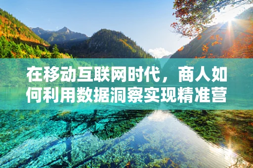 在移动互联网时代，商人如何利用数据洞察实现精准营销？