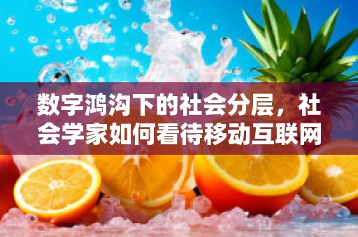 数字鸿沟下的社会分层，社会学家如何看待移动互联网时代的机遇与挑战？