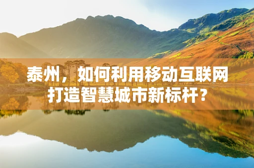 泰州，如何利用移动互联网打造智慧城市新标杆？