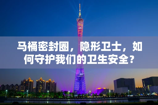马桶密封圈，隐形卫士，如何守护我们的卫生安全？