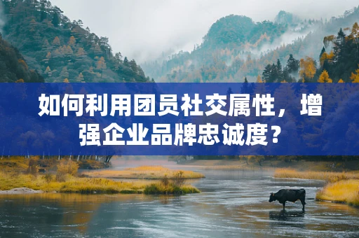 如何利用团员社交属性，增强企业品牌忠诚度？