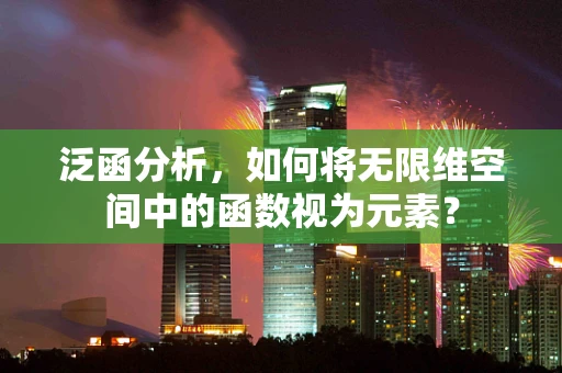 泛函分析，如何将无限维空间中的函数视为元素？