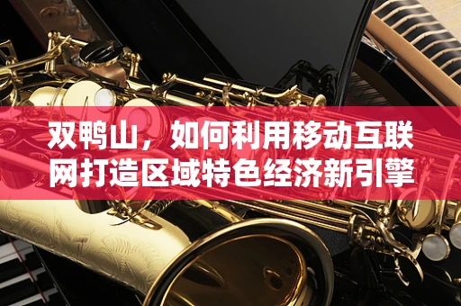 双鸭山，如何利用移动互联网打造区域特色经济新引擎？