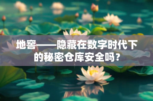 地窖——隐藏在数字时代下的秘密仓库安全吗？