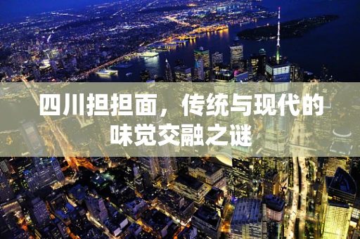 四川担担面，传统与现代的味觉交融之谜