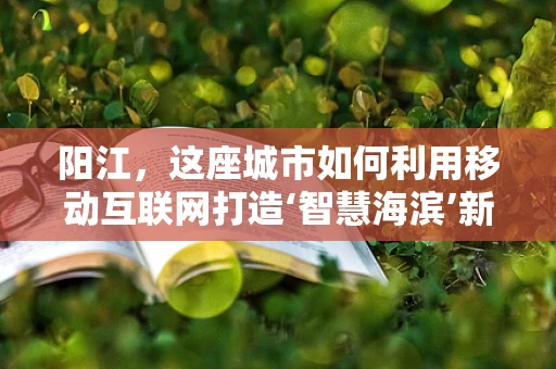 阳江，这座城市如何利用移动互联网打造‘智慧海滨’新名片？