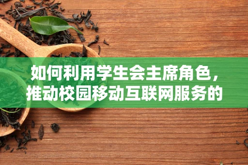 如何利用学生会主席角色，推动校园移动互联网服务的创新与优化？