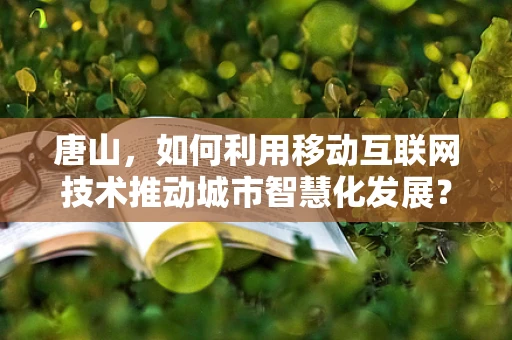 唐山，如何利用移动互联网技术推动城市智慧化发展？