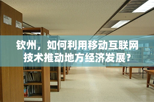 钦州，如何利用移动互联网技术推动地方经济发展？