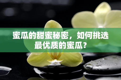 蜜瓜的甜蜜秘密，如何挑选最优质的蜜瓜？