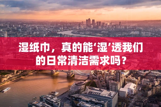 湿纸巾，真的能‘湿’透我们的日常清洁需求吗？
