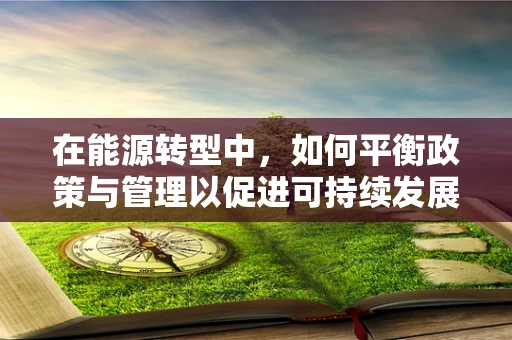 在能源转型中，如何平衡政策与管理以促进可持续发展？
