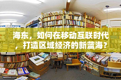 海东，如何在移动互联时代，打造区域经济的新蓝海？