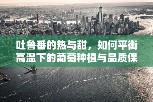 吐鲁番的热与甜，如何平衡高温下的葡萄种植与品质保障？
