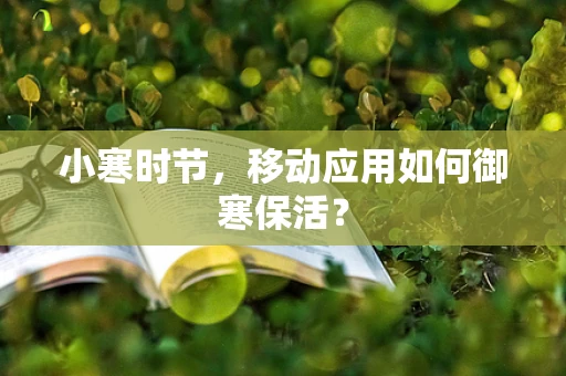 小寒时节，移动应用如何御寒保活？