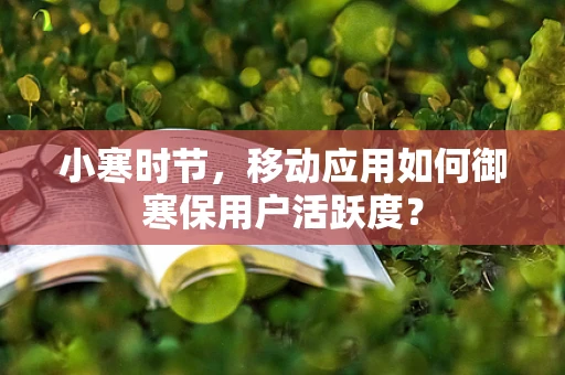 小寒时节，移动应用如何御寒保用户活跃度？