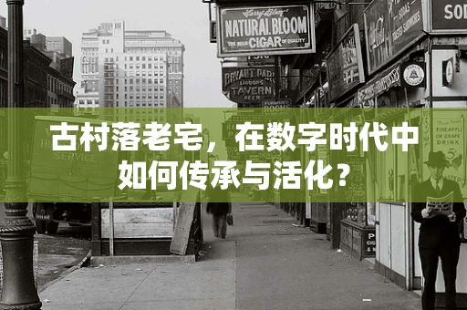 古村落老宅，在数字时代中如何传承与活化？