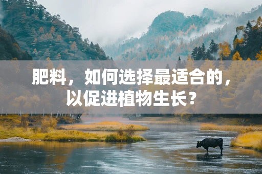 肥料，如何选择最适合的，以促进植物生长？