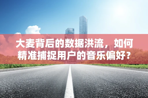 大麦背后的数据洪流，如何精准捕捉用户的音乐偏好？