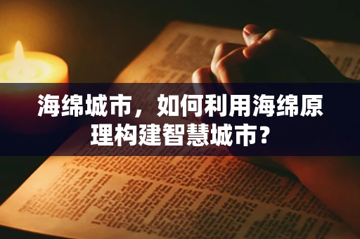 海绵城市，如何利用海绵原理构建智慧城市？