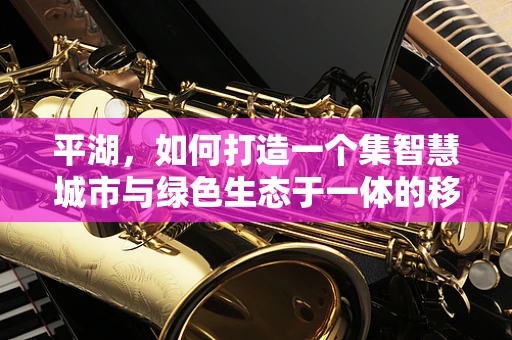 平湖，如何打造一个集智慧城市与绿色生态于一体的移动互联新地标？