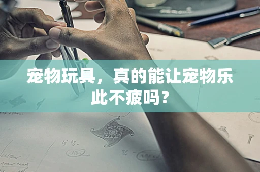宠物玩具，真的能让宠物乐此不疲吗？