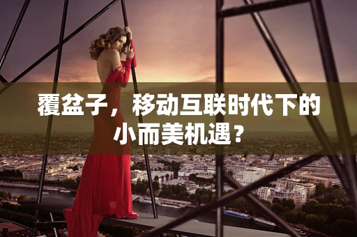 覆盆子，移动互联时代下的小而美机遇？