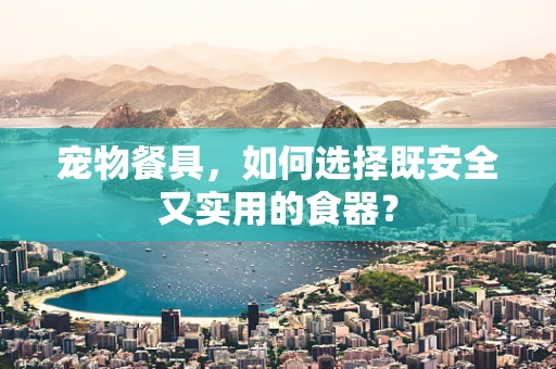 宠物餐具，如何选择既安全又实用的食器？