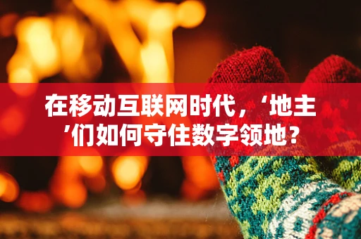 在移动互联网时代，‘地主’们如何守住数字领地？