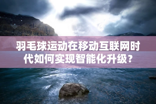 羽毛球运动在移动互联网时代如何实现智能化升级？