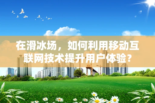 在滑冰场，如何利用移动互联网技术提升用户体验？